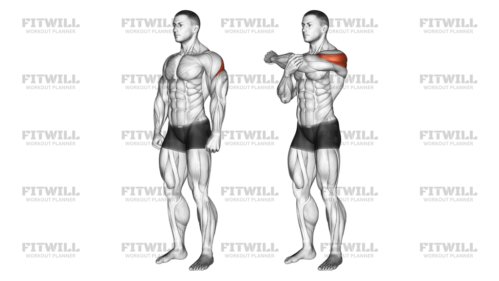 Rear Deltoid Stretch Exercise Guide Video Techniques Benefits How to Muscles Worked Tips Tricks Fitwill