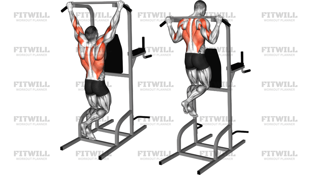 Rear Pull-Up