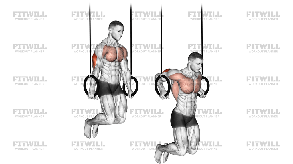 Ring Dips