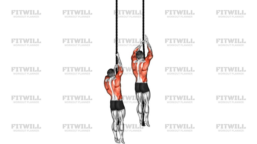 Rope Climb