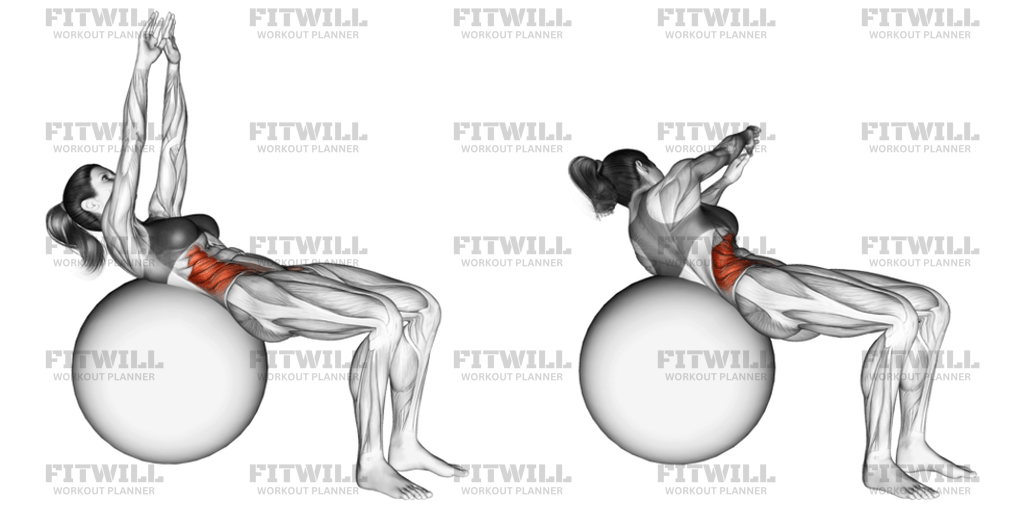 Russian Twist On Stability Ball Arms Straight: Exercise Guide, Video ...