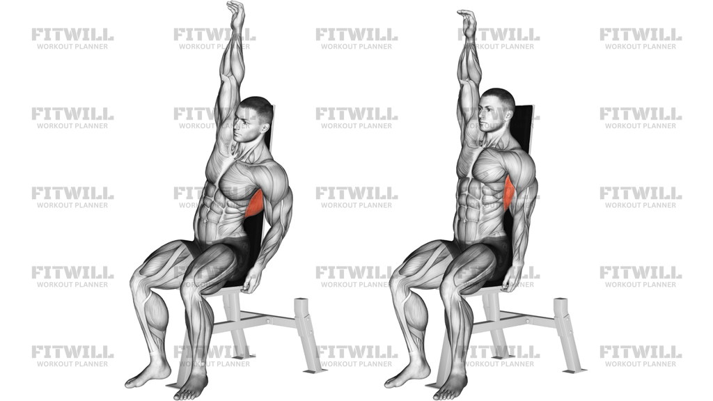 Seated Lower Back Stretch