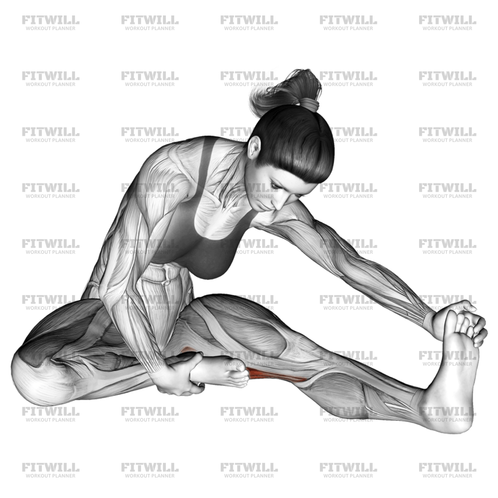 Seated Single Leg Hamstring Stretch Exercise Guide Video Techniques Benefits How to Muscles Worked Tips Tricks Fitwill