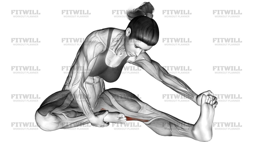 Seated Single Leg Hamstring Stretch