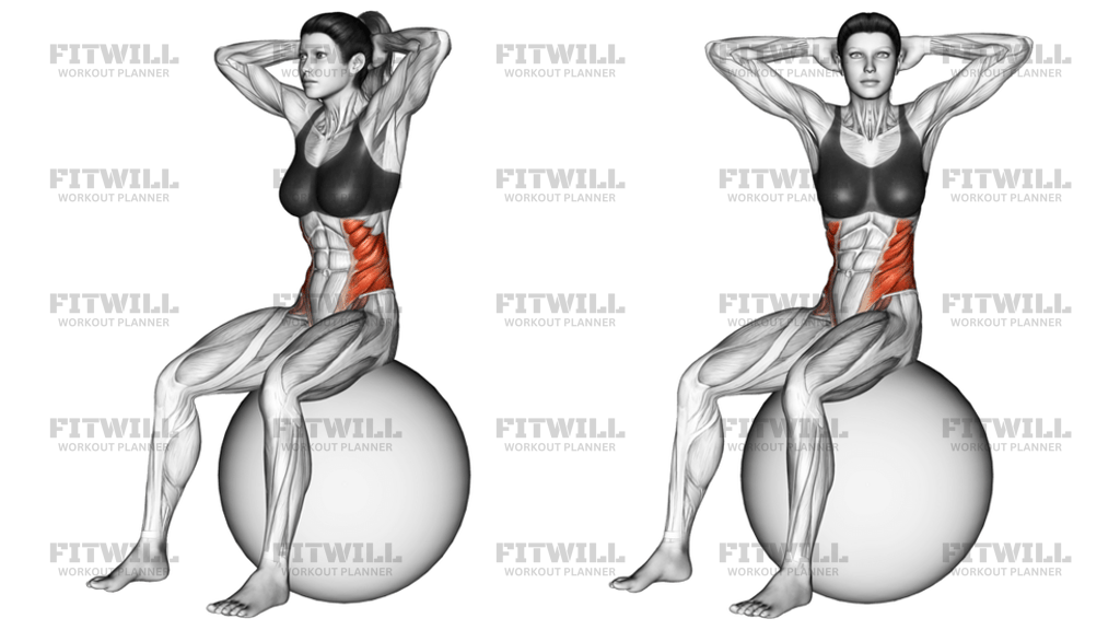 Seated Twist On Stability Ball: Exercise Guide, Video, Techniques ...