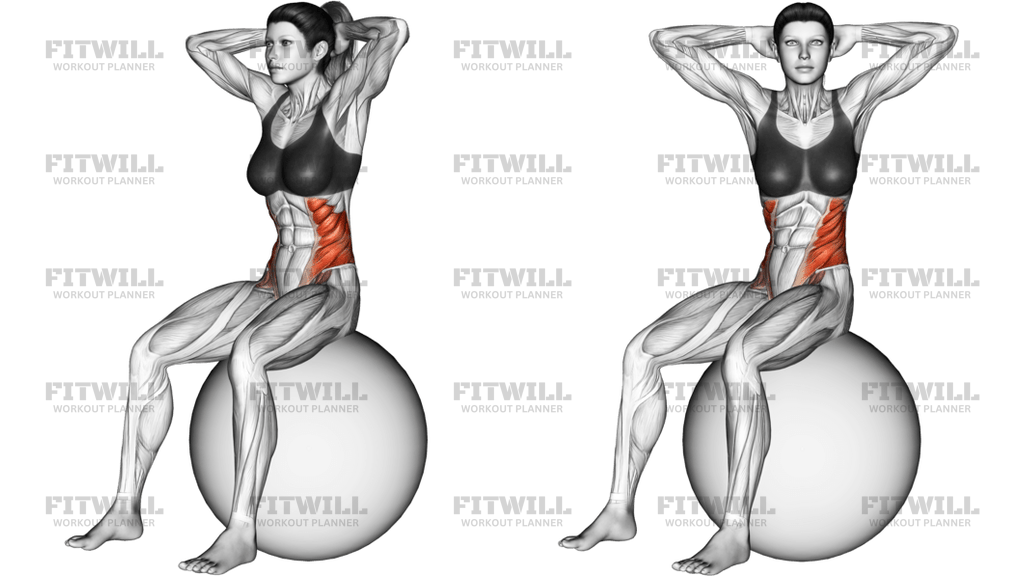 Seated Twist On Stability Ball