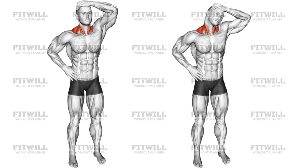 Side Neck Stretch