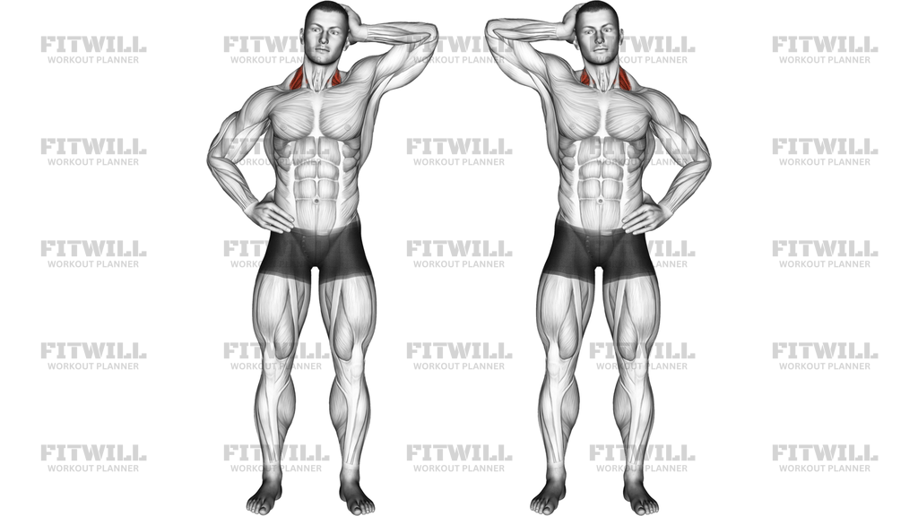Side Push Neck Stretch