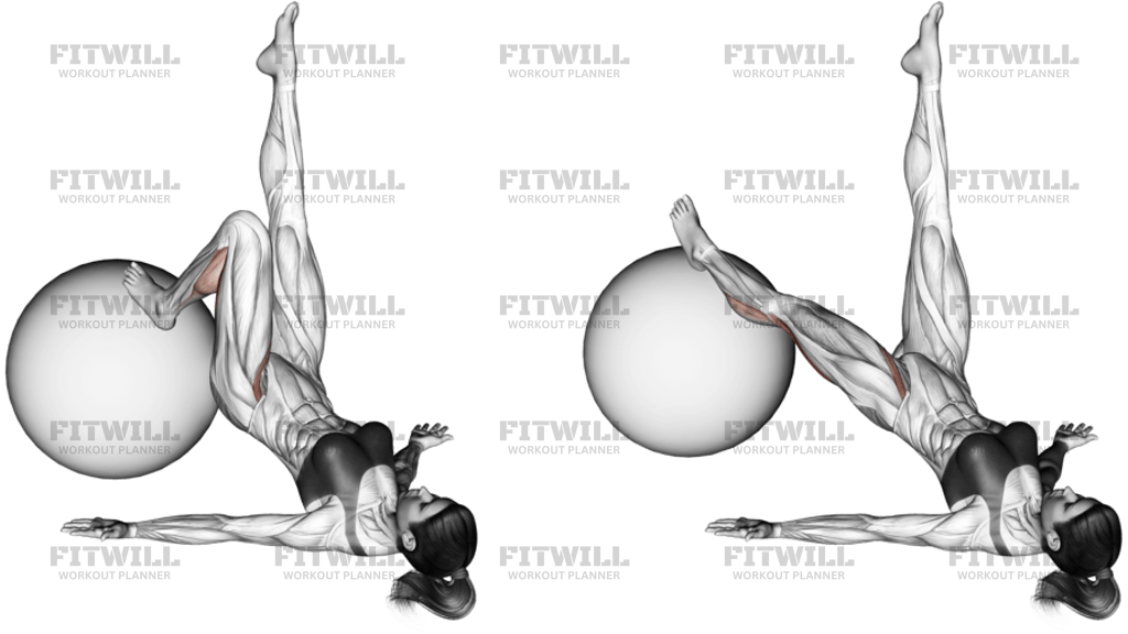 Single Leg Extension On Stability Ball