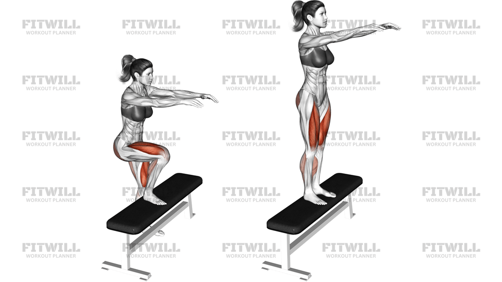Single Leg Step-Up