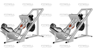 Sled 45° Calf Press