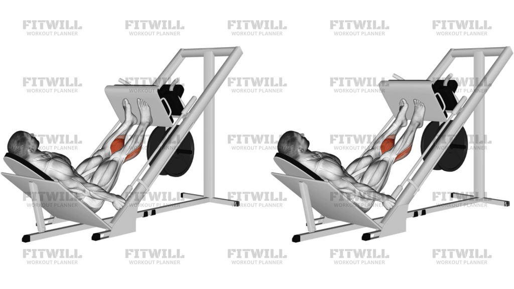 Sled 45° Calf Press