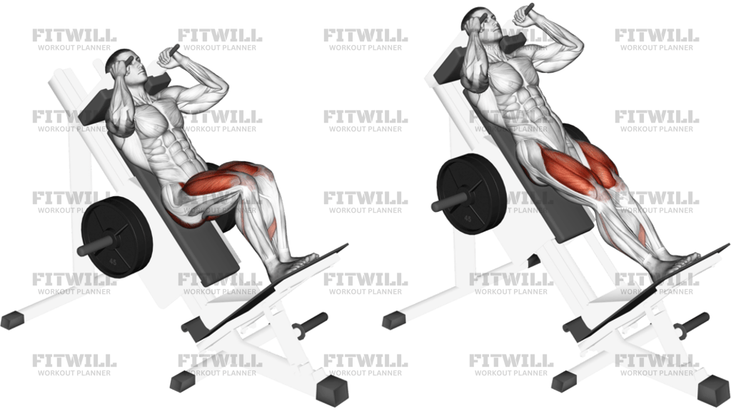 Sled Closer Hack Squat
