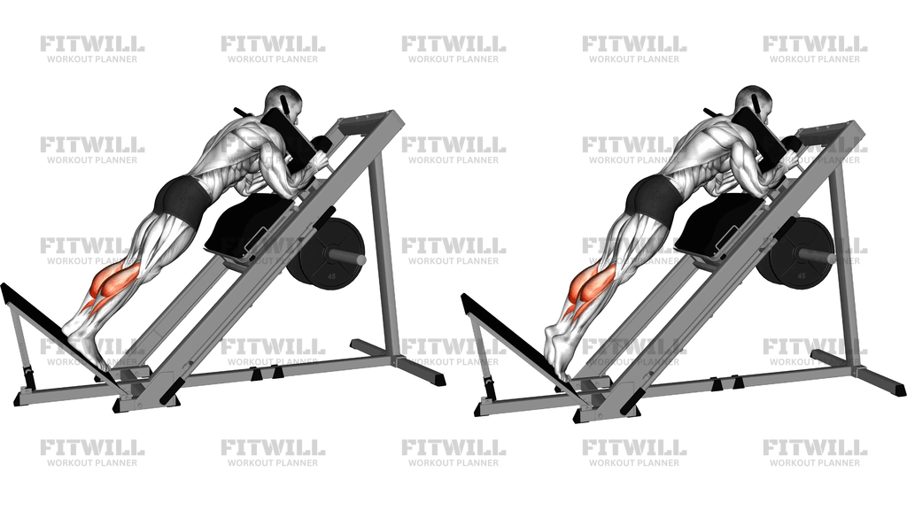 Sled Forward Angled Calf Raise