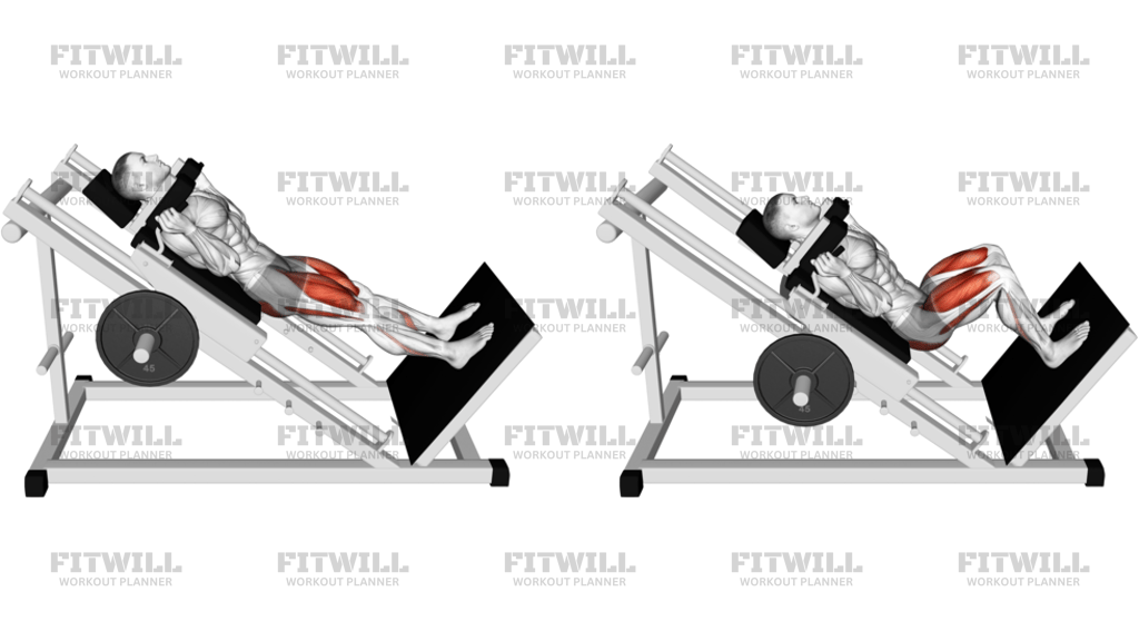 Sled Hack Squat