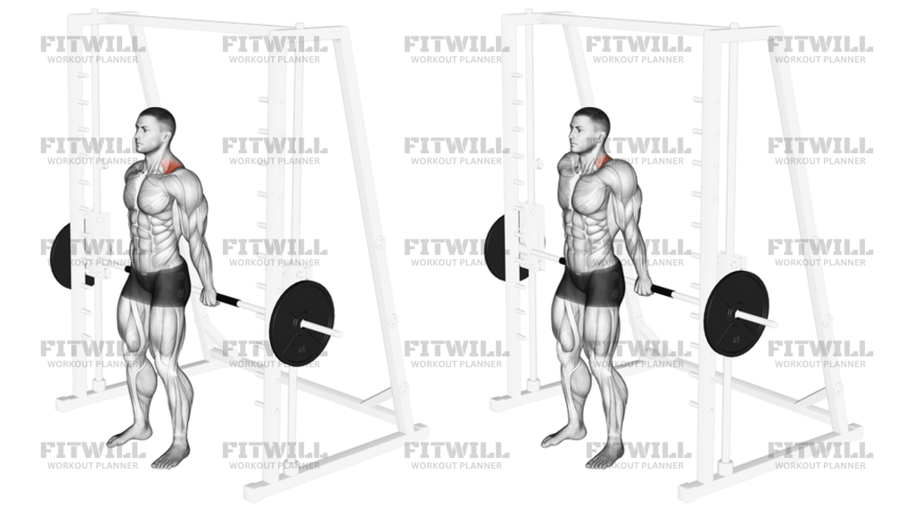 Smith Back Shrug
