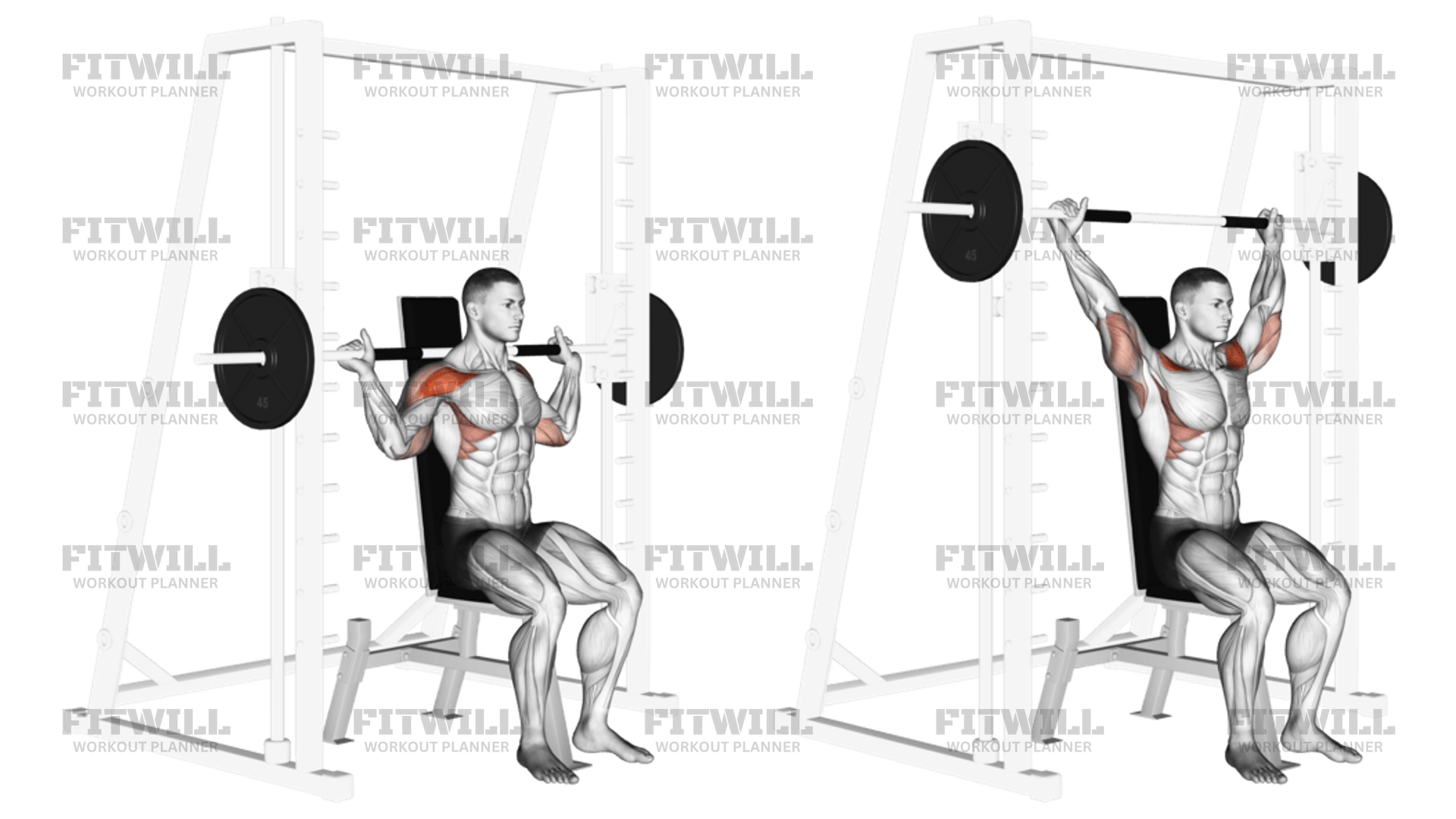 Smith Behind Neck Press Exercise Guide Video Techniques Benefits How to Muscles Worked Tips Tricks Fitwill