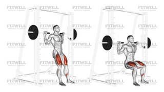 Smith Chair Squat