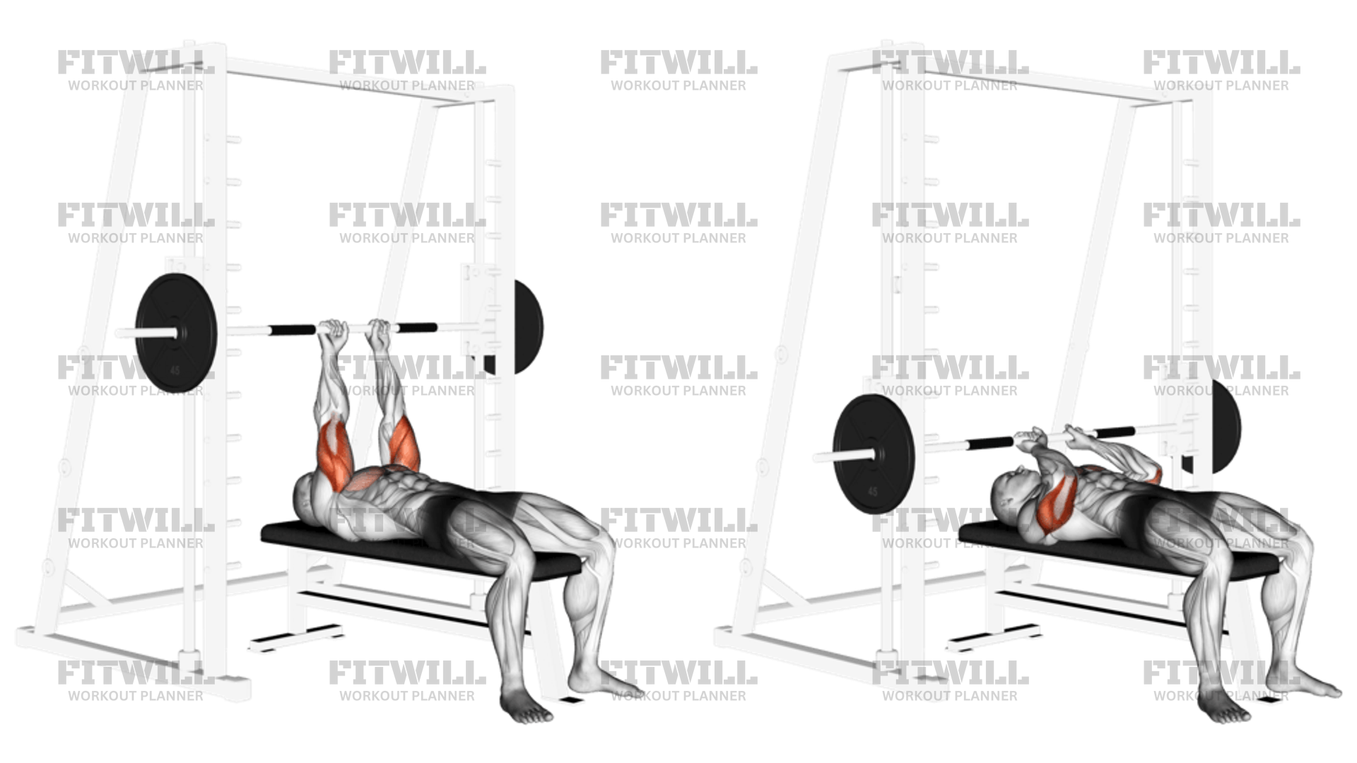 Smith Close Grip Bench Press Exercise Guide Video Techniques Benefits How to Muscles Worked Tips Tricks Fitwill