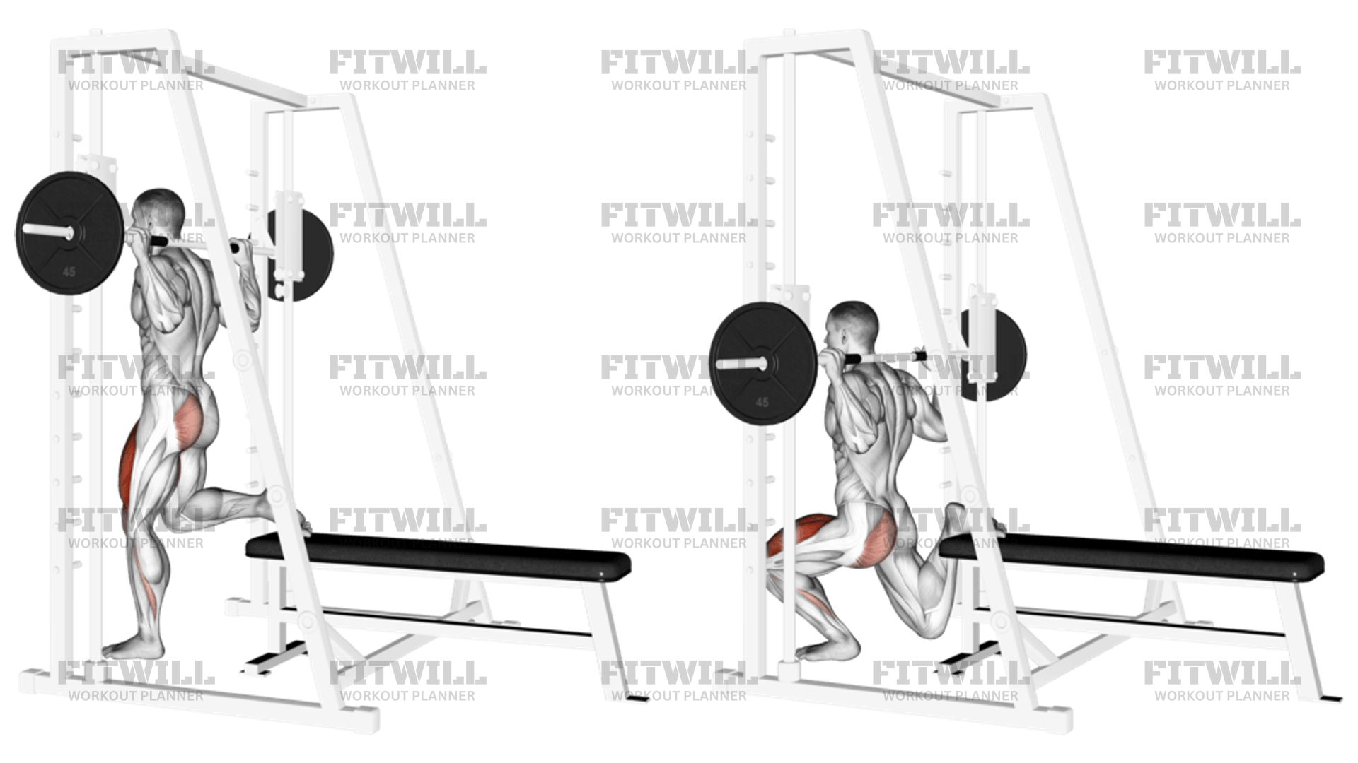 One legged smith split squat hotsell