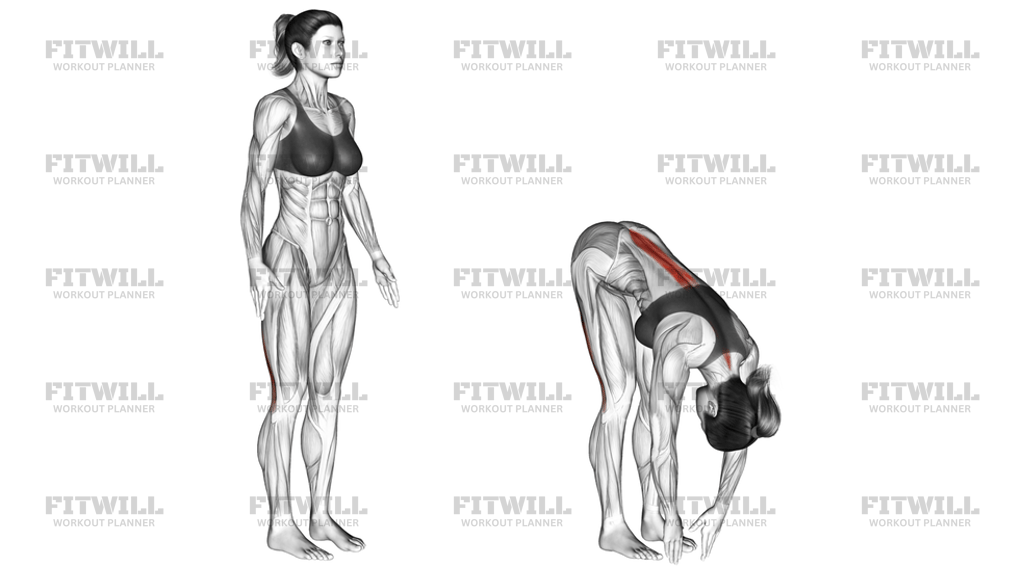 Standing Hamstring Stretch: Exercise Guide, Video, Techniques, Benefits ...