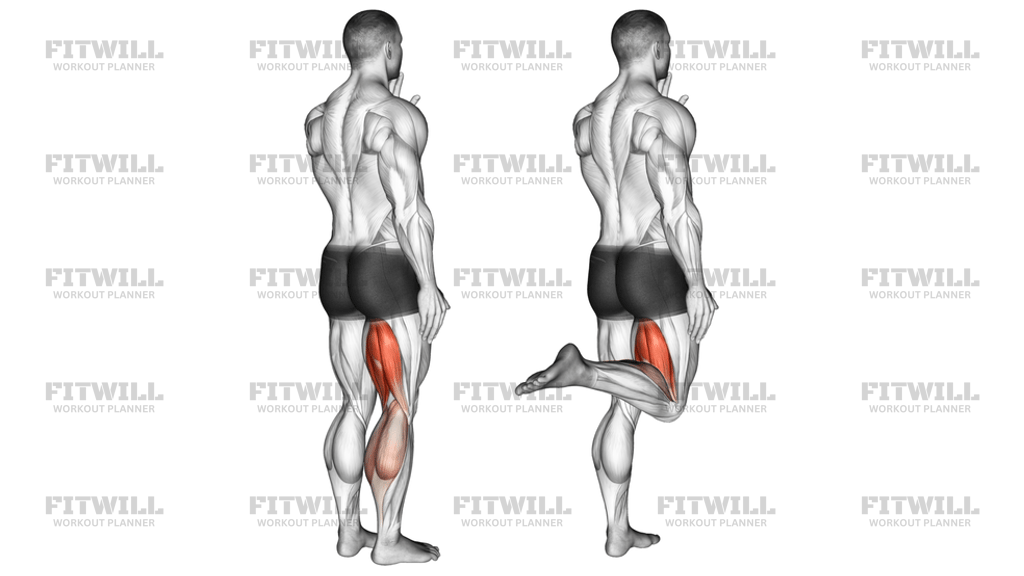 Standing Single Leg Curl