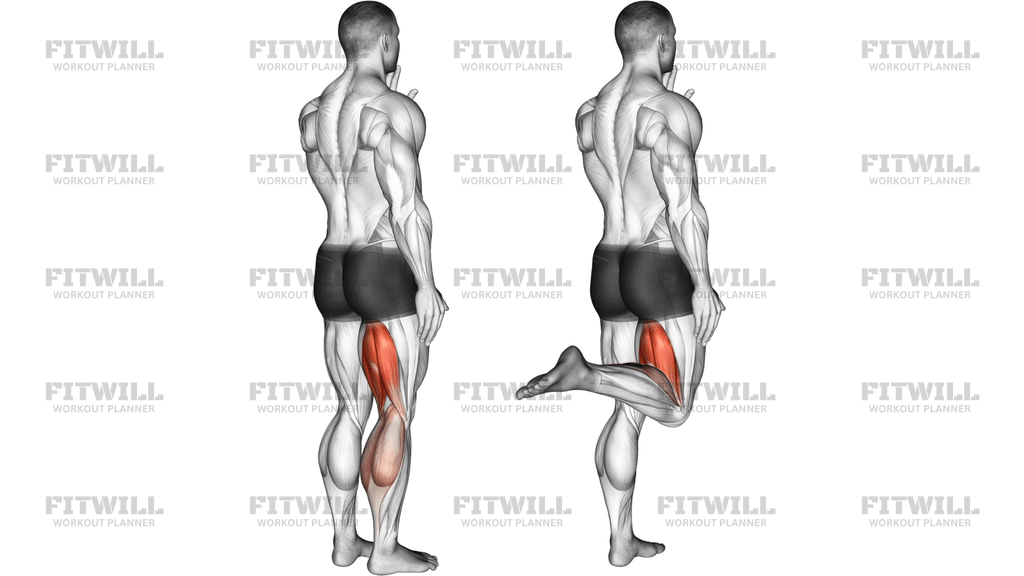 Standing Single Leg Curl