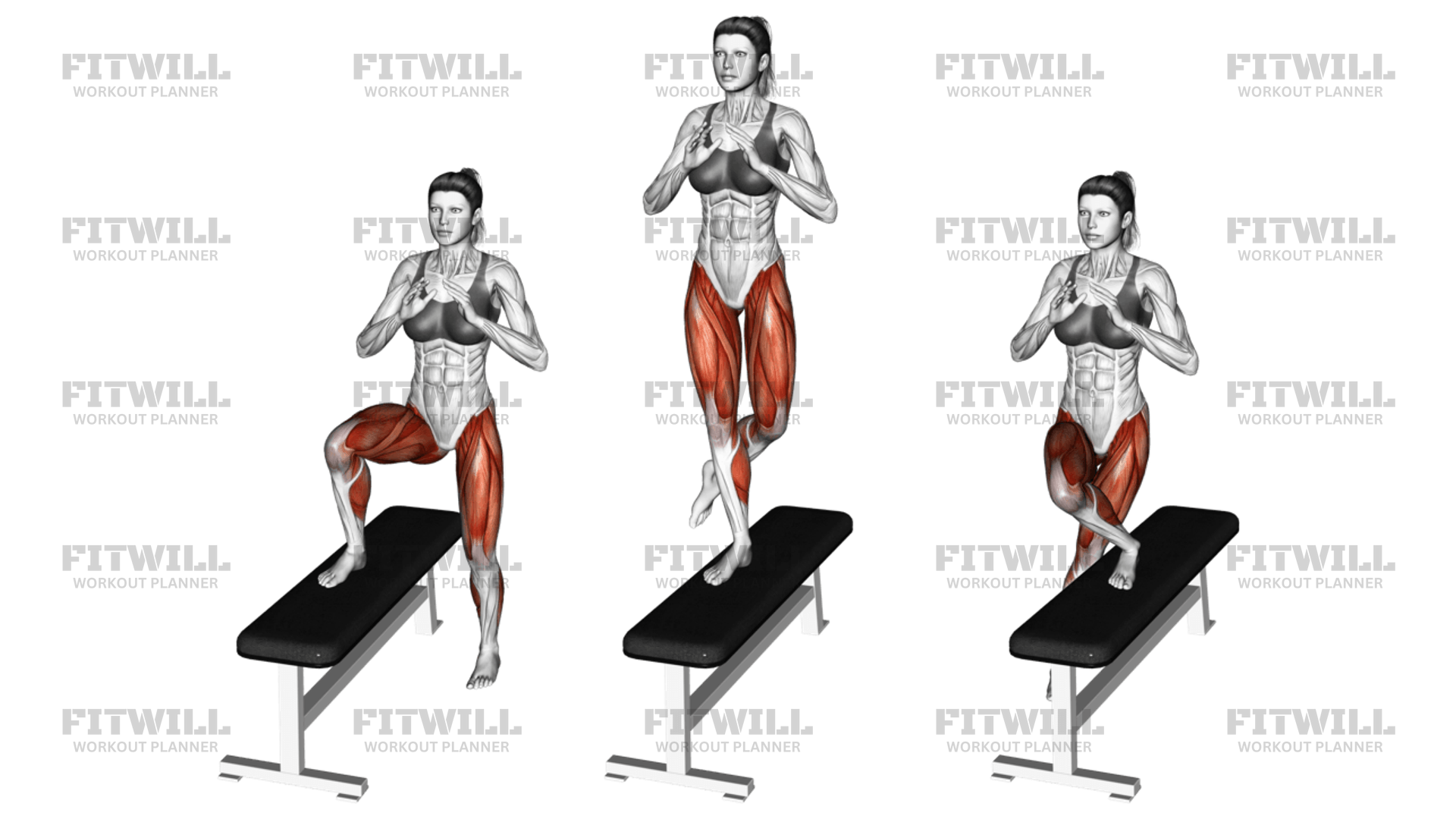 Shoulder step ups hotsell