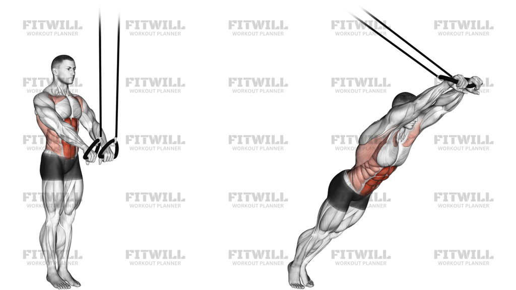 Závesný Brušný Výpad (Suspended Abdominal Fallout)