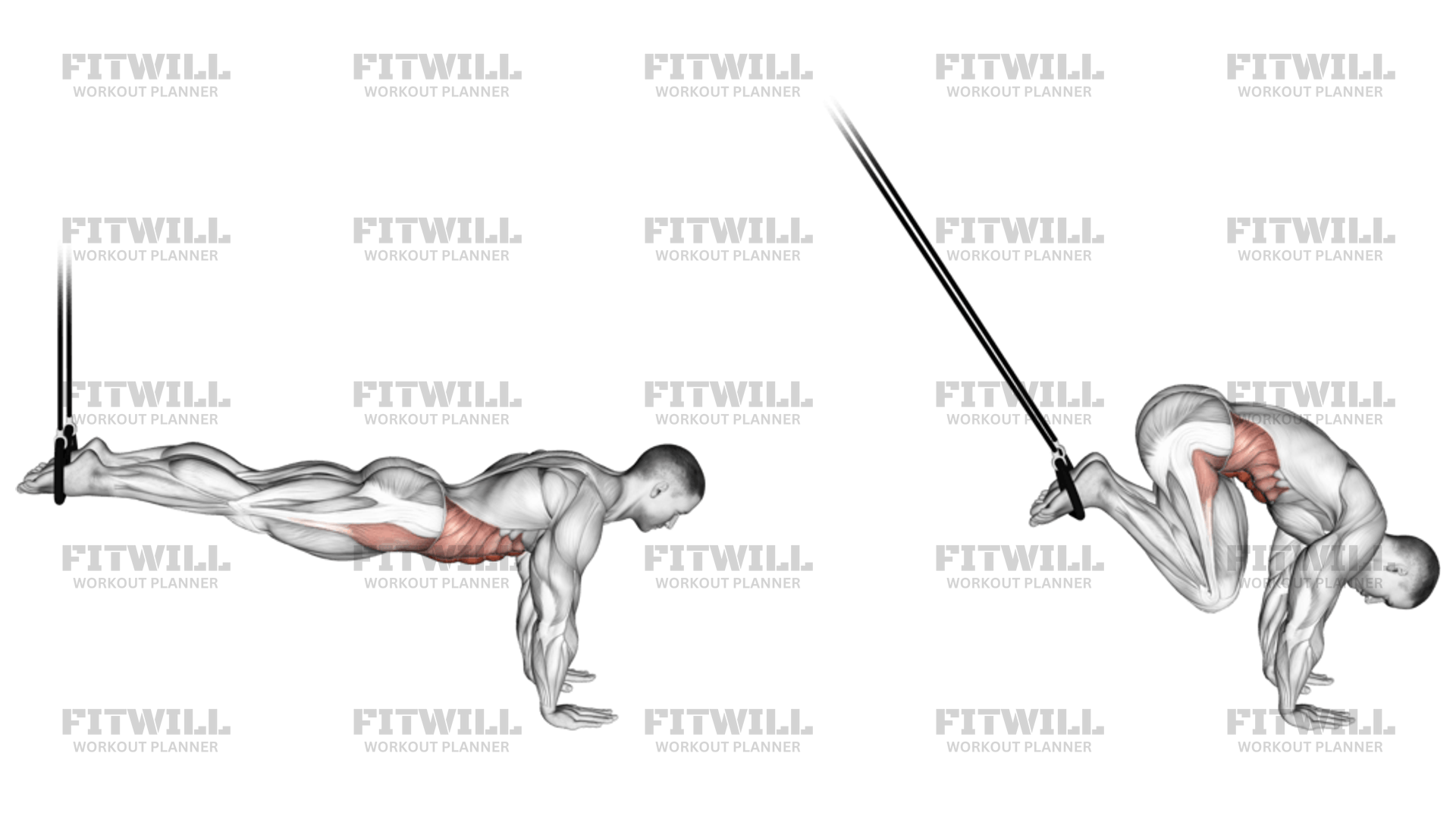 Hanging reverse crunches hotsell