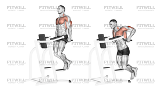 Triceps Dip