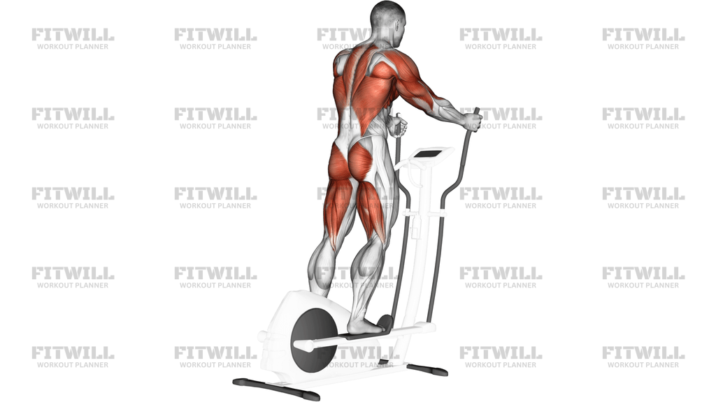 Walk Equipment