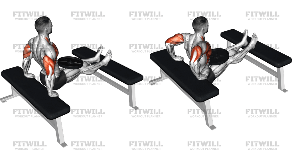 Weighted Bench Dip