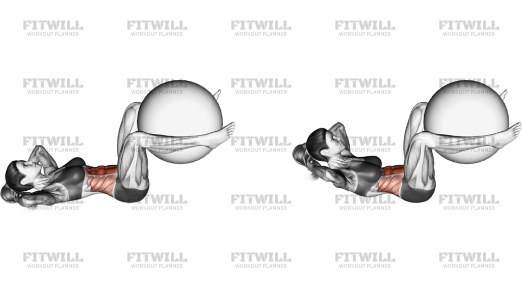 Weighted Crunch Bent Knee