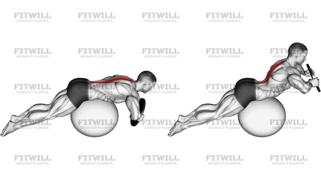Weighted Hyperextension On Stability Ball: Exercise Guide, Video ...