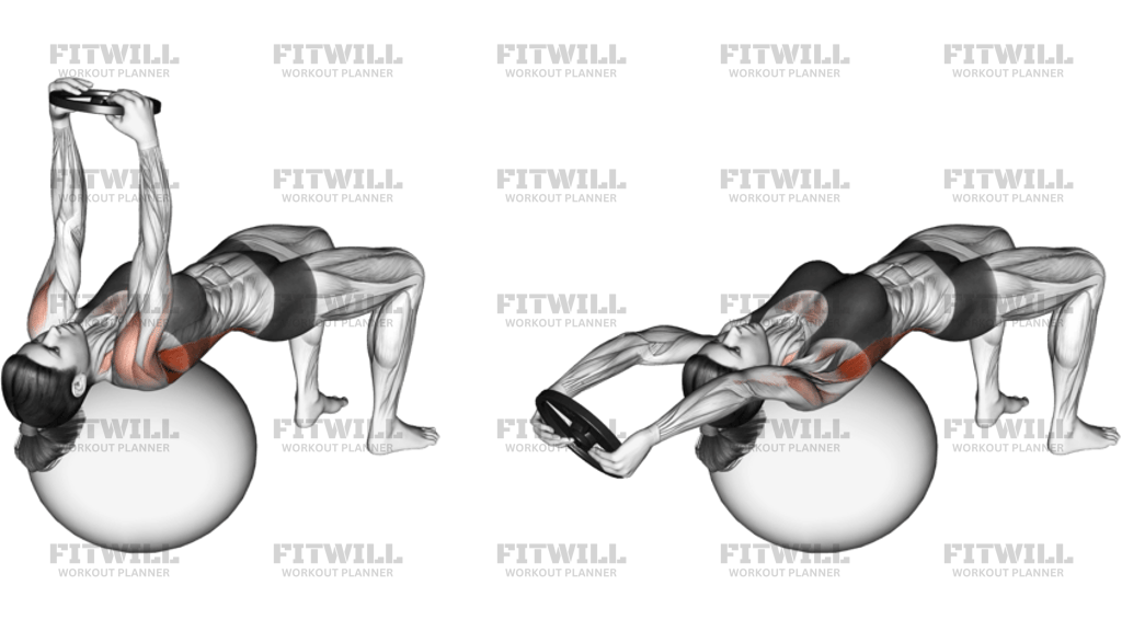 Weighted Pullover On Stability Ball