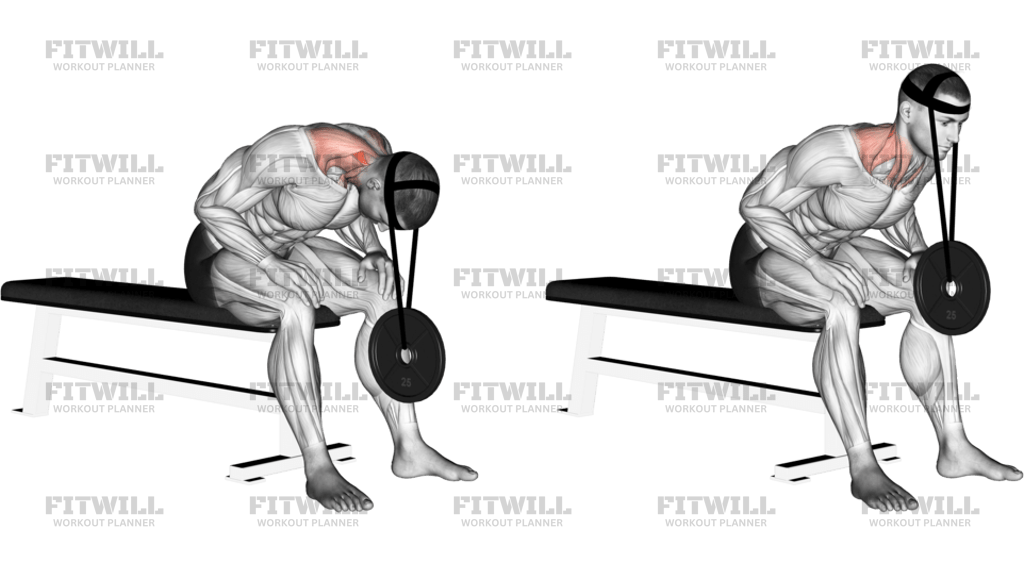 Weighted Seated Neck Extension With Head Harness