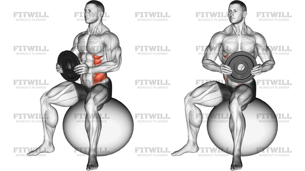 Weighted Seated Twist On Stability Ball