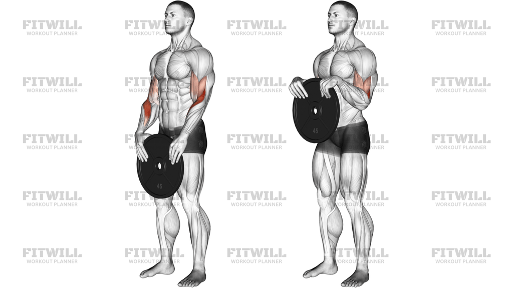 Ağırlıklı Ayakta Curl
