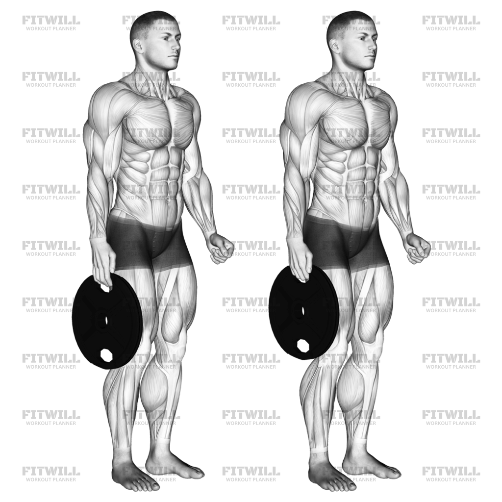 Weighted Standing Hand Squeeze Exercise Guide Techniques Benefits How to Muscles Worked Tips Tricks Fitwill