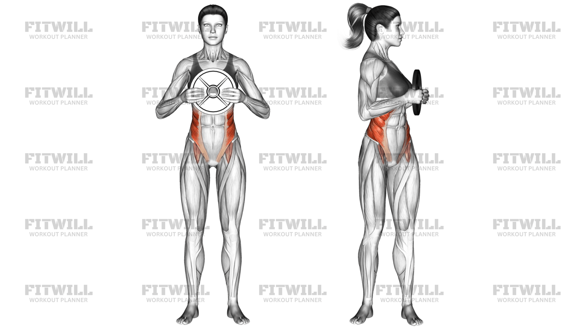 Weighted Standing Twist: Exercise Guide, Video, Techniques, Benefits ...