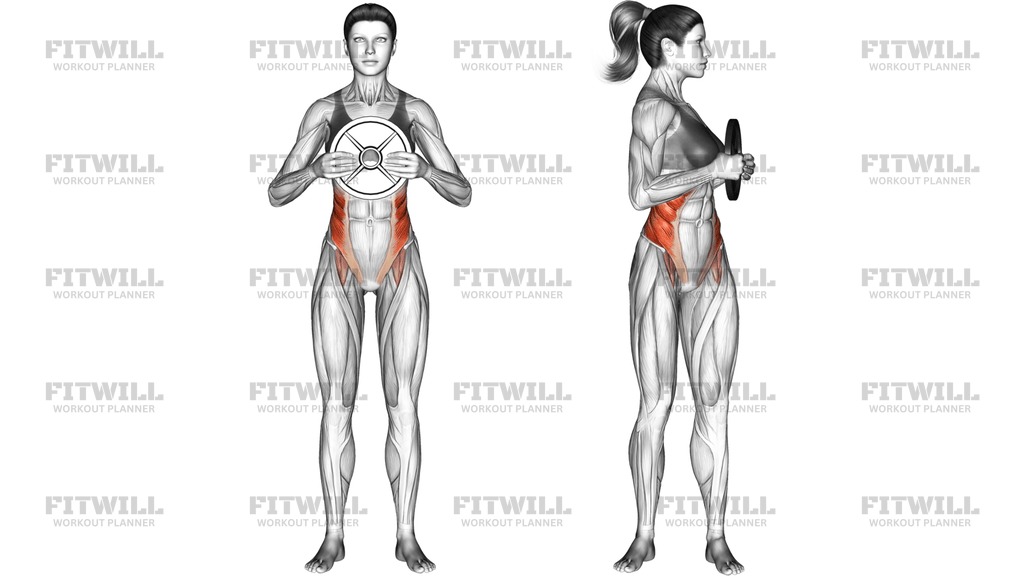 Weighted Standing Twist