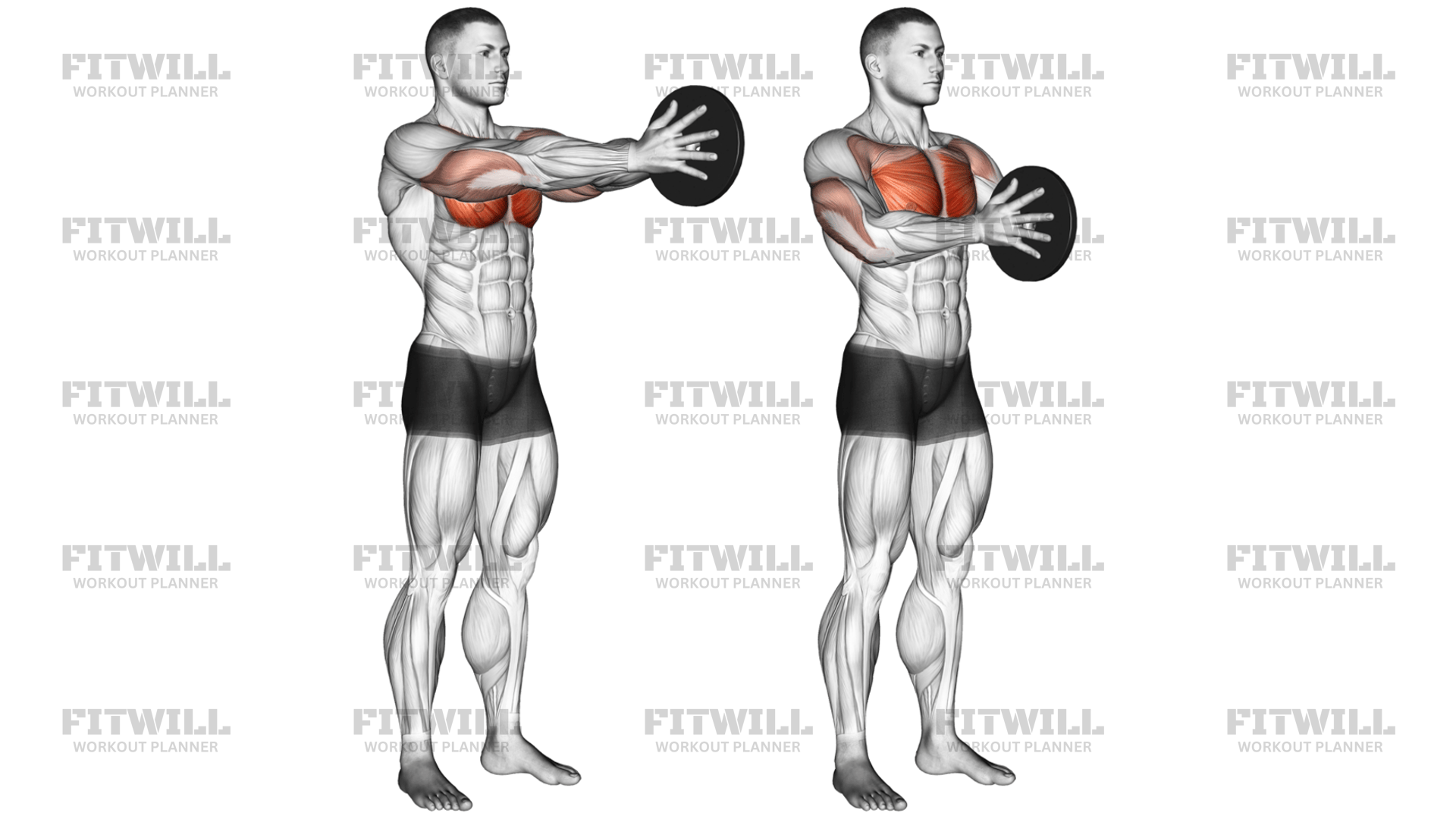 Weighted Svend Press: Exercise Guide, Video, Techniques, Benefits, How ...