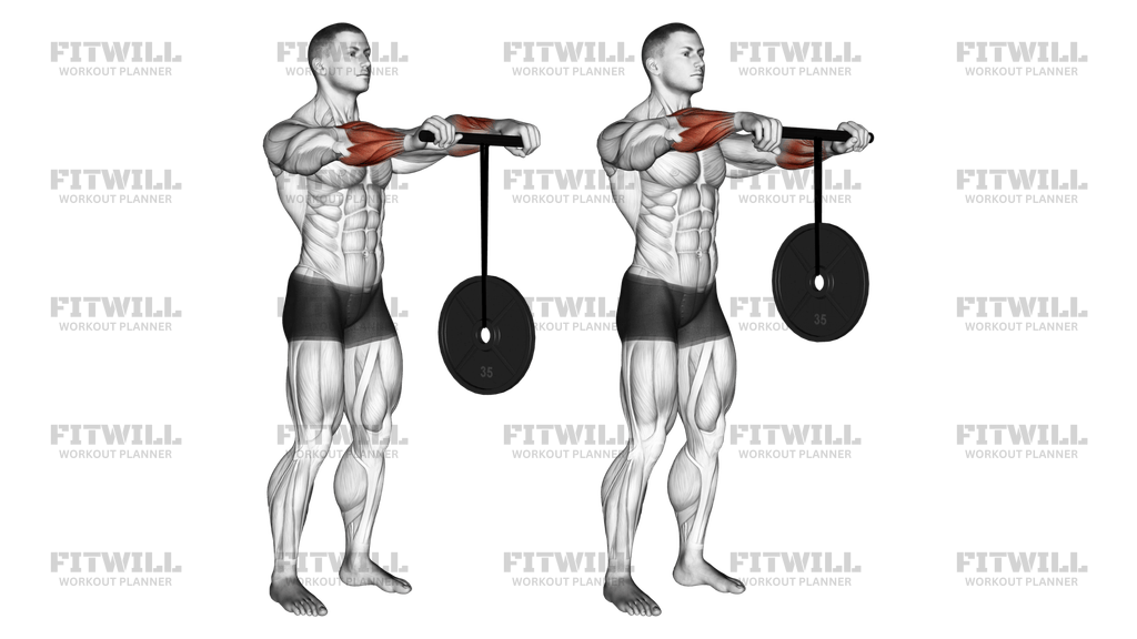 Wrist Roller Exercise Guide Video Techniques Benefits How to Muscles Worked Tips Tricks Fitwill