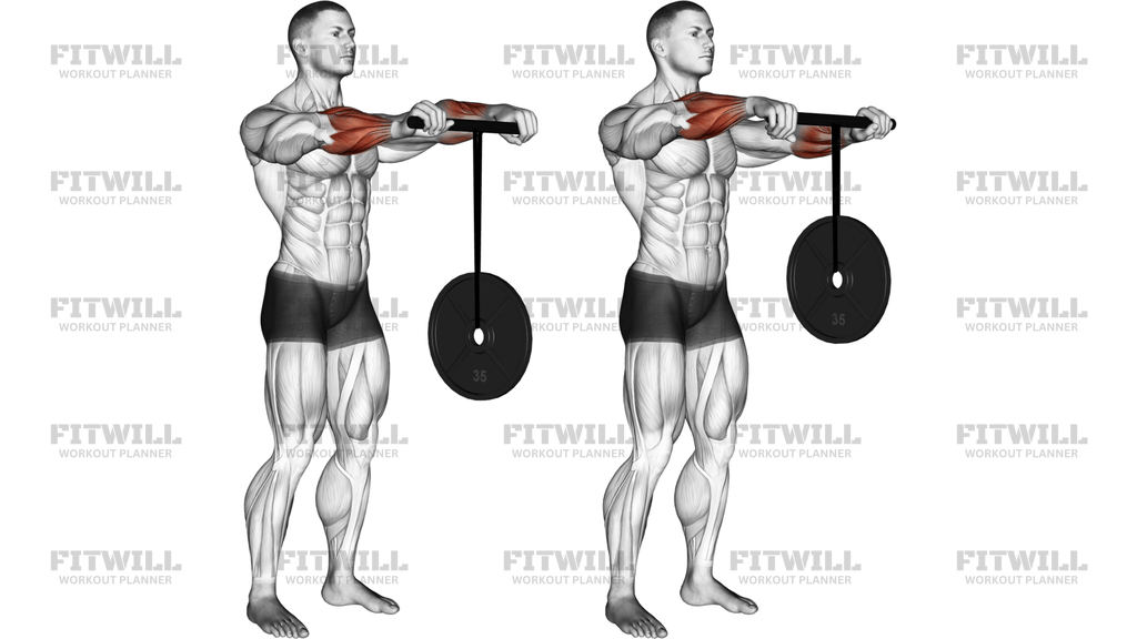 손목 롤러 (Wrist Roller)