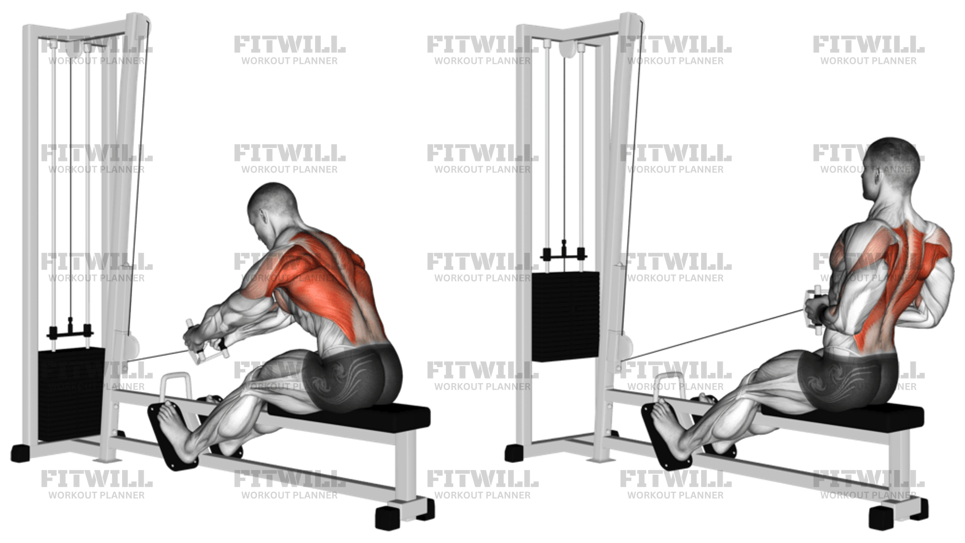 Cable Seated Row: Exercise Guide, Video, Techniques, Benefits, How to ...