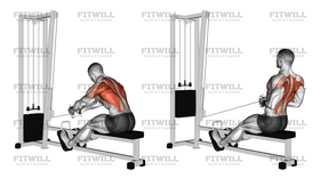 Cable Seated Row