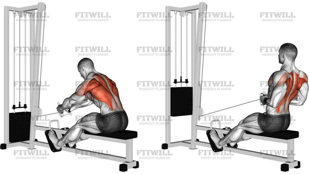Cable Seated Row
