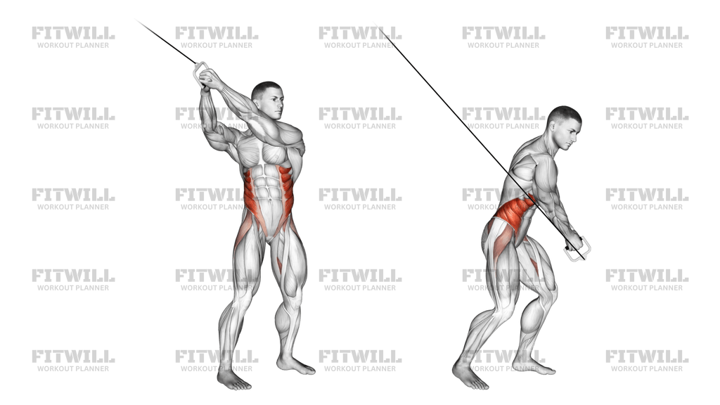 Cable Twist (up-down): Exercise Guide, Video, Techniques, Benefits, How ...