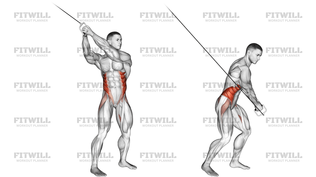 Cable Twist Up-Down